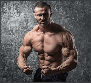 Définition et différence : Masse musculaire, volume musculaire et sèche