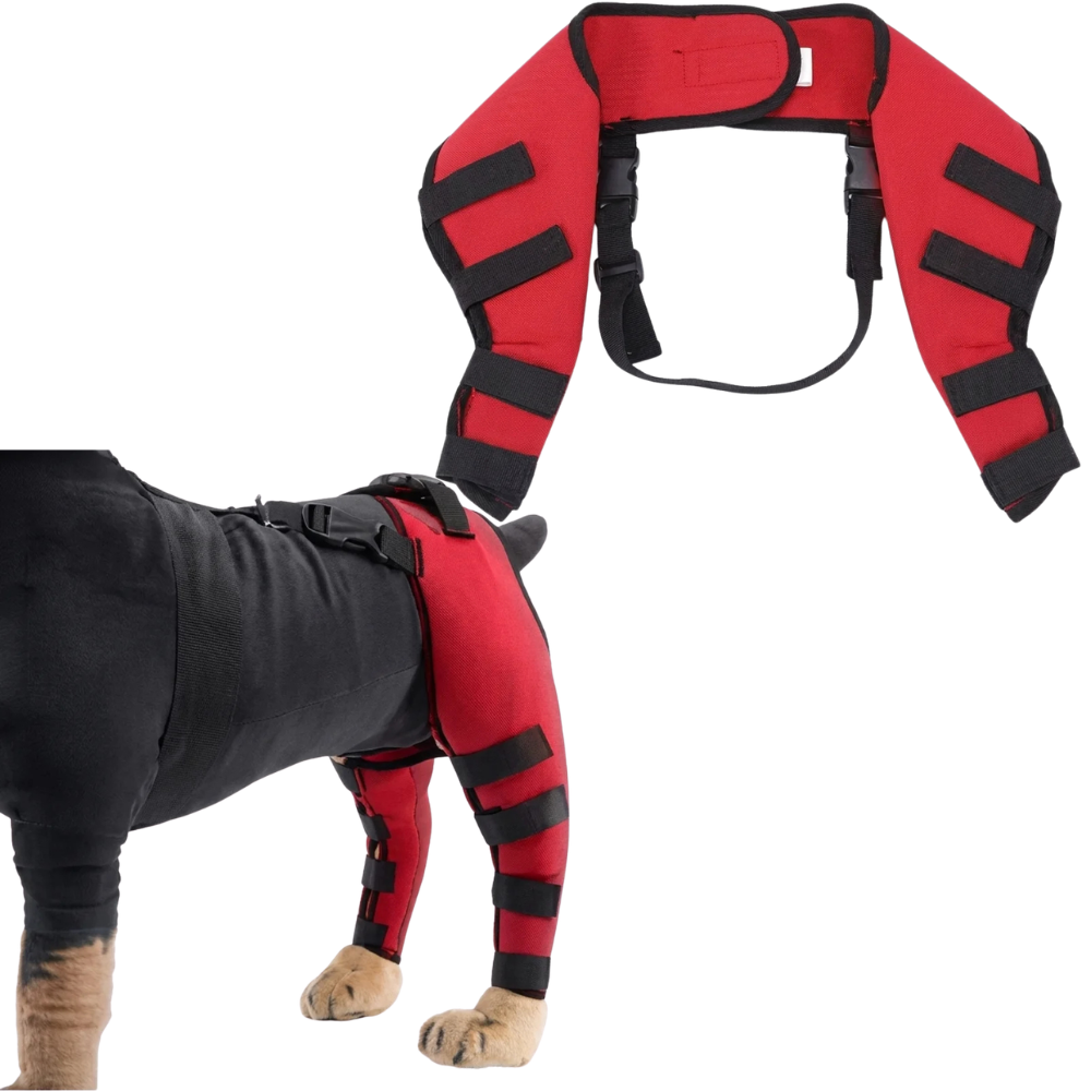 Attelles de Maintien pour Pattes Arrière de Chien & Chiot Soutien Articulaire