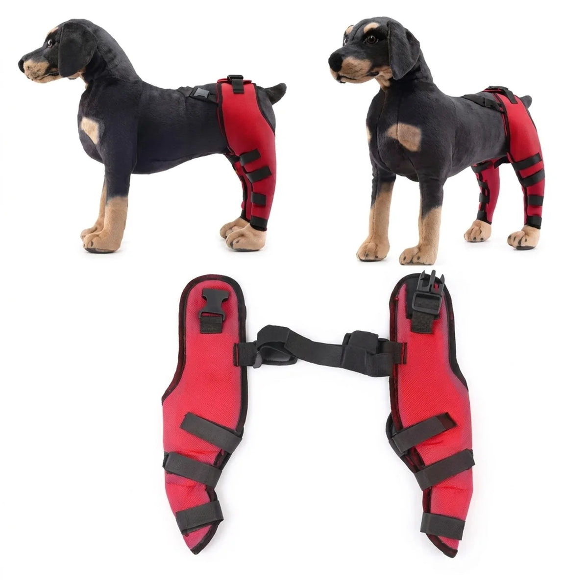 Attelles de Maintien pour Pattes Arrière de Chien & Chiot Soutien Articulaire