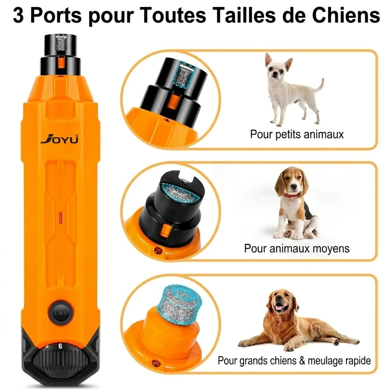 Broyeur d’Ongles Électrique Pour Chien