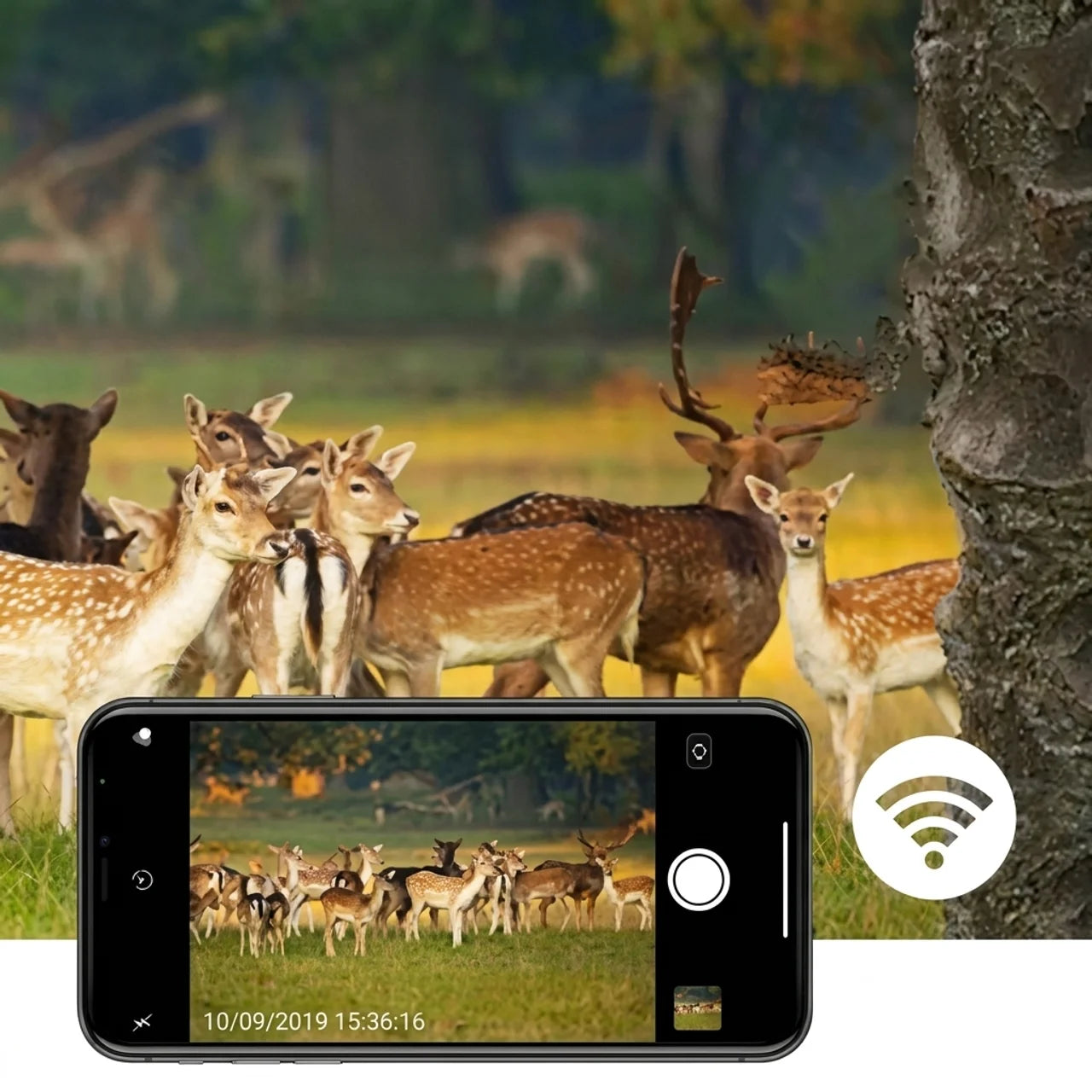 Caméra Chasse 4K WiFi Pro