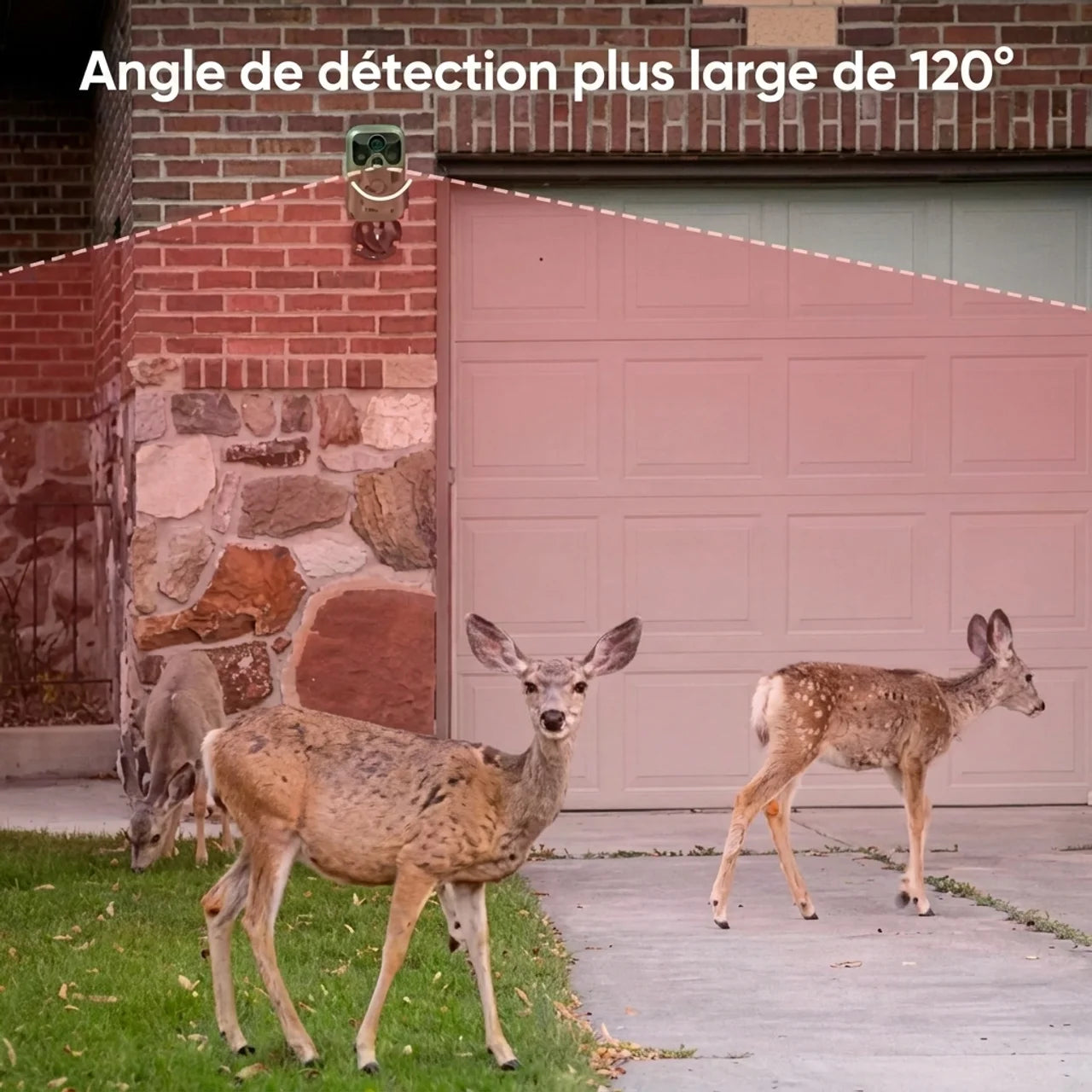 Caméra Chasse 4K WiFi Pro