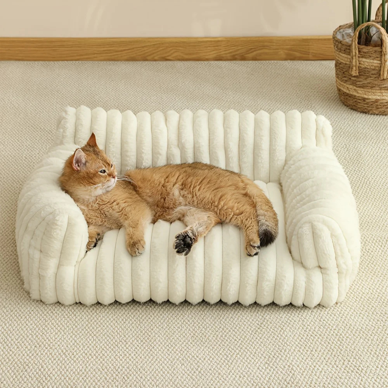 Canapé Orthopédique pour Chat Ultra Moelleux