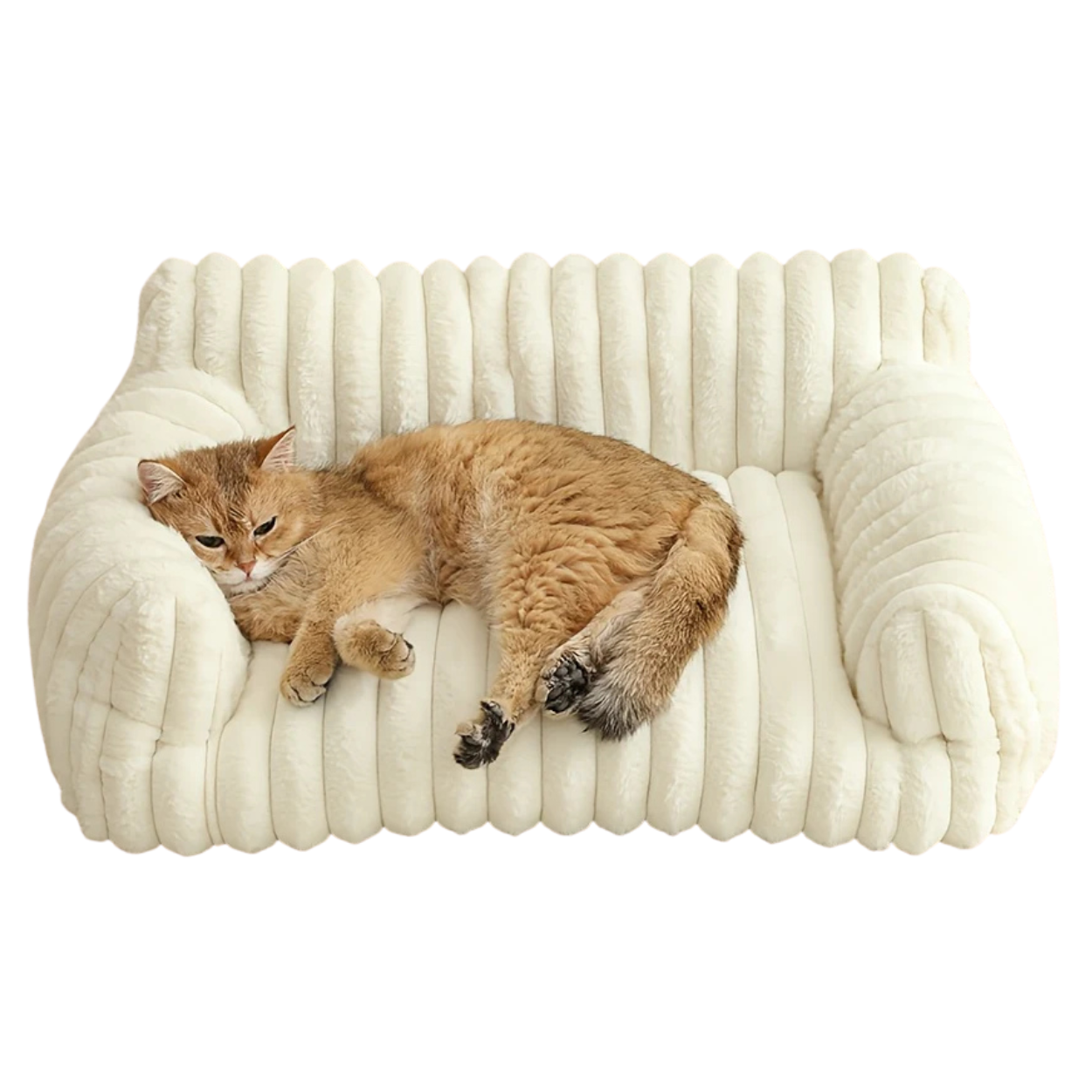 Canapé Orthopédique pour Chat Ultra Moelleux