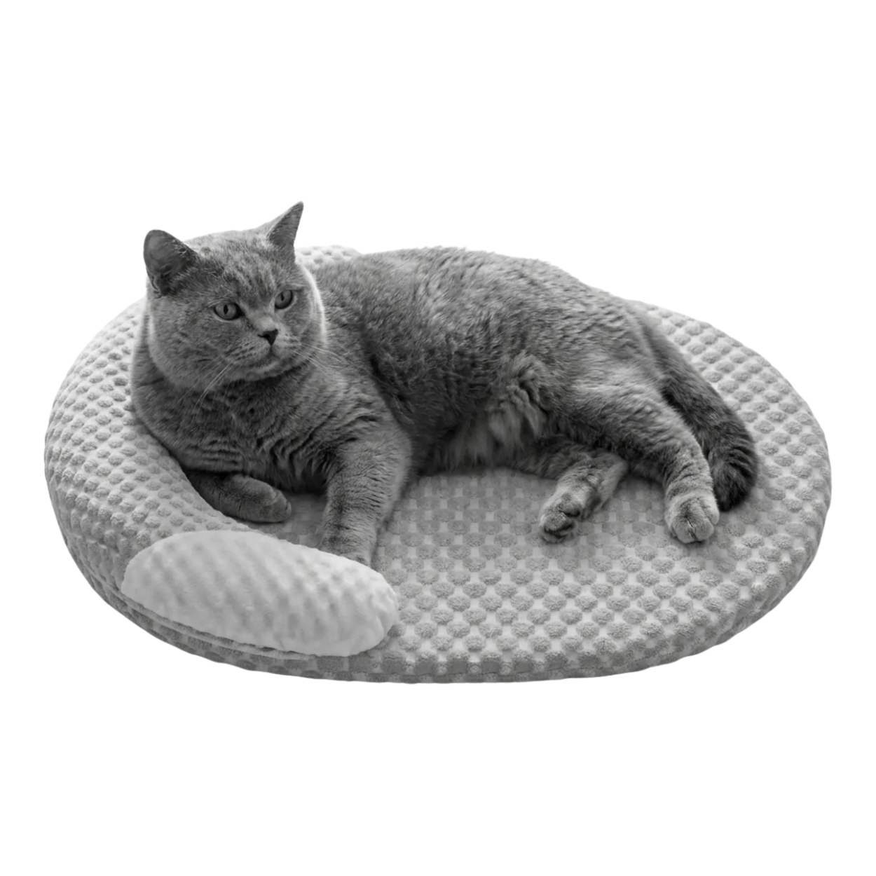 Tapis Rafraîchissant pour Chien et Chat à 5 Couches Orthopédique