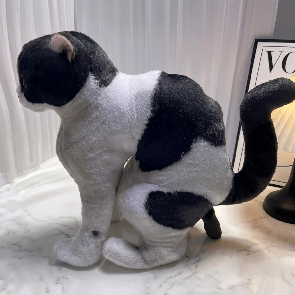 Coussin Chat Musclé Amusant & Doux Peluche Déco 15cm & 40cm