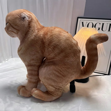 Coussin Chat Musclé Amusant & Doux Peluche Déco 15cm & 40cm