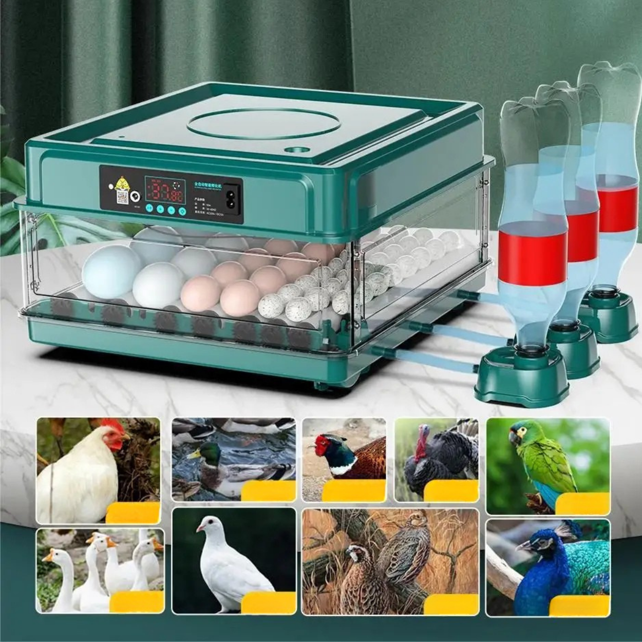 Couveuse à Œufs Professionnelle avec Retournement Automatique