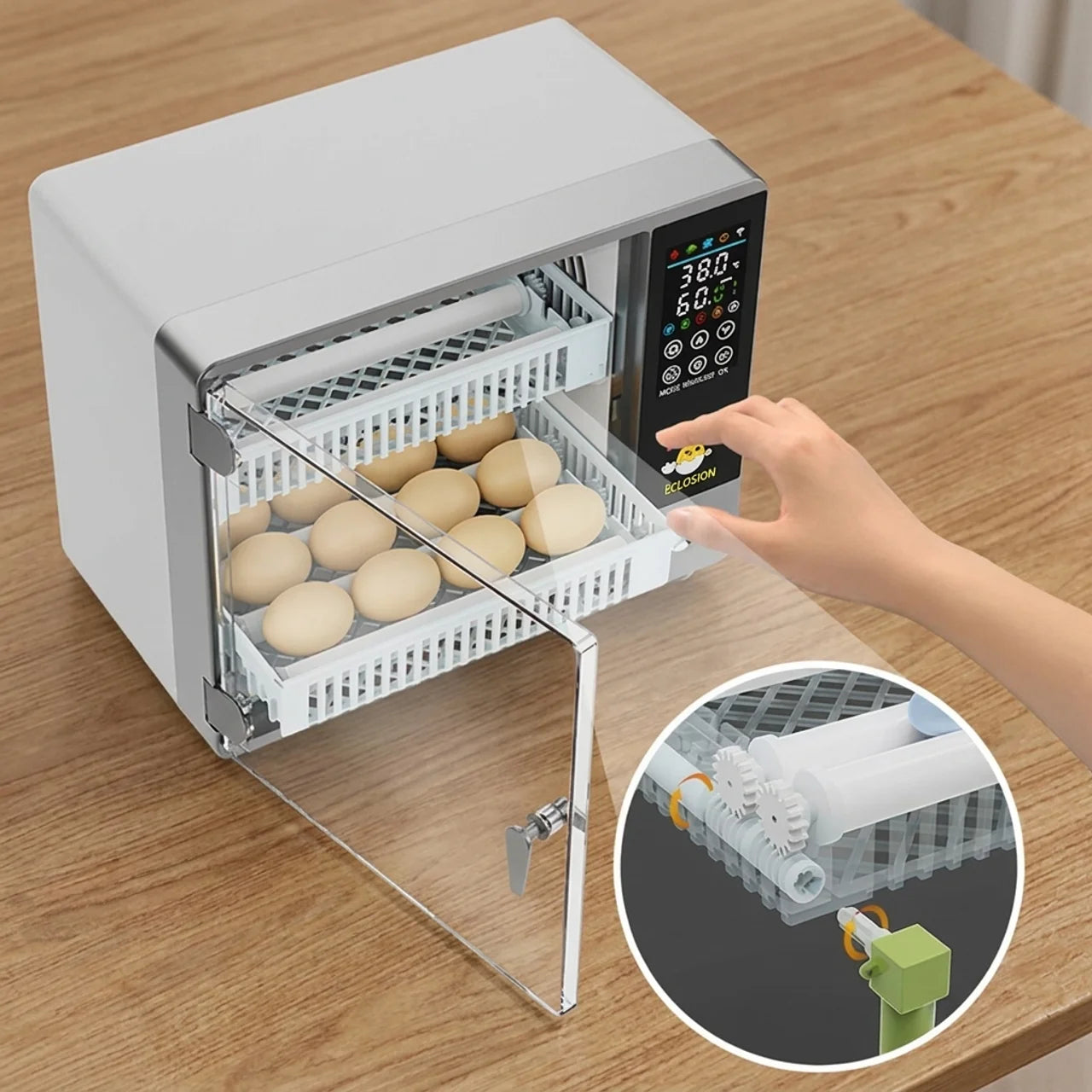 Couveuse Automatique 24 Œufs avec Retournement Automatique