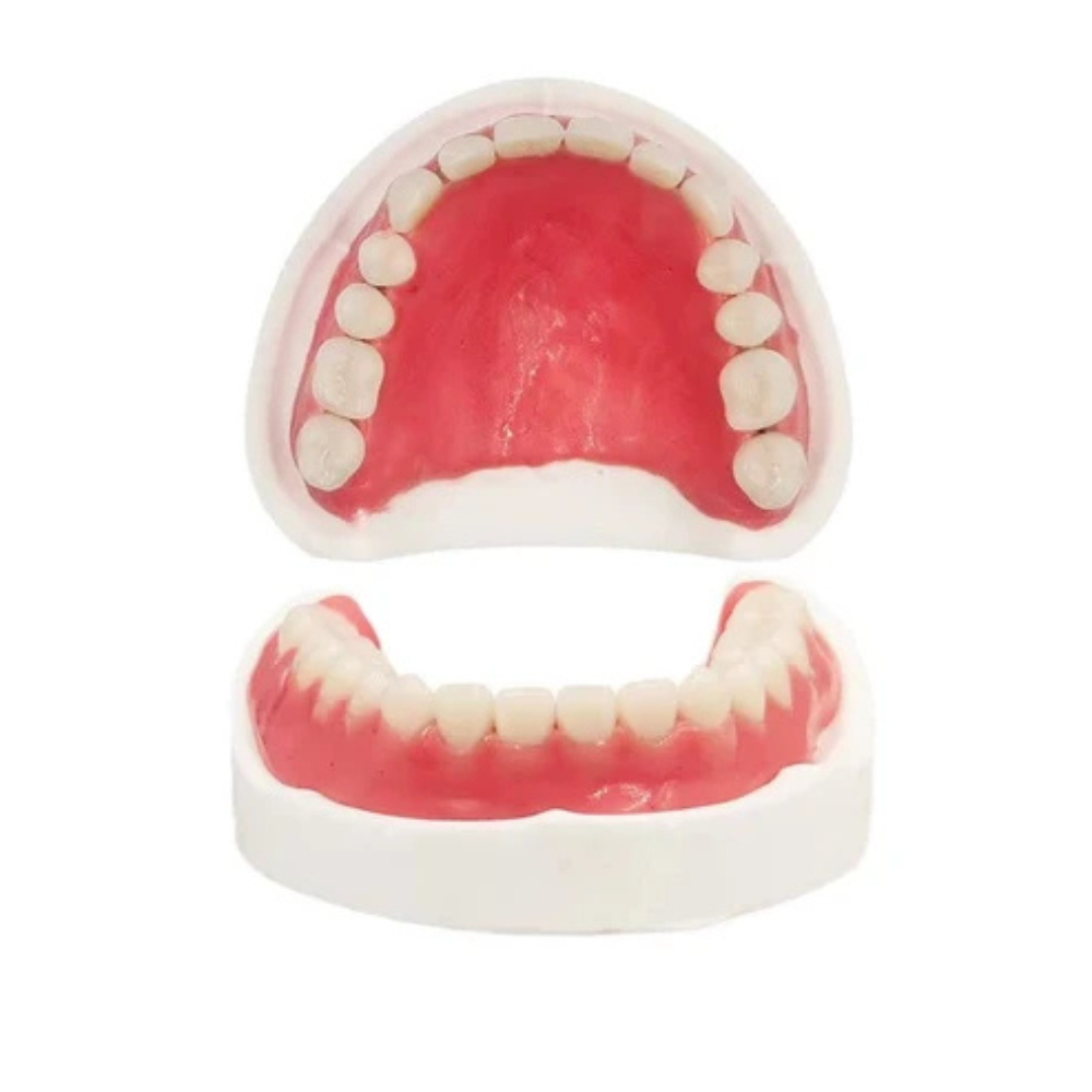 Dentier complet en silicone Dents de remplacement supérieures et inférieures à l’aspect naturel