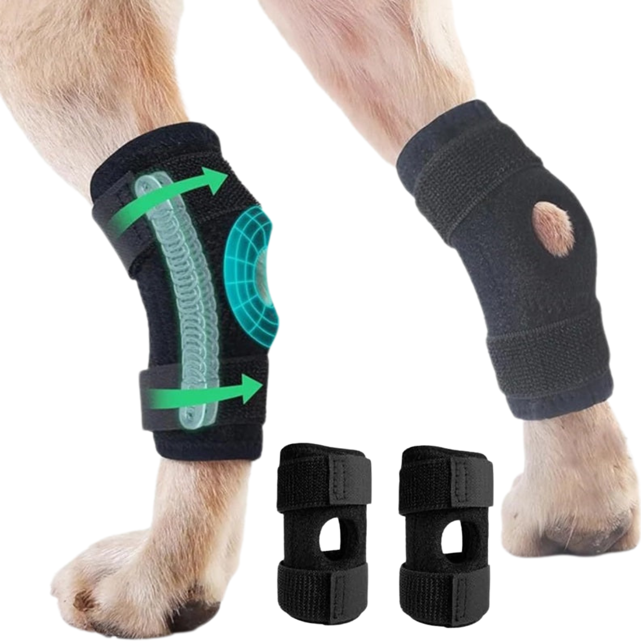 Genouillère de Soutien Articulaire pour Chien