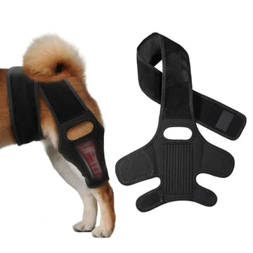 Genouillère et Attelle de Hanche Réglable pour Chien