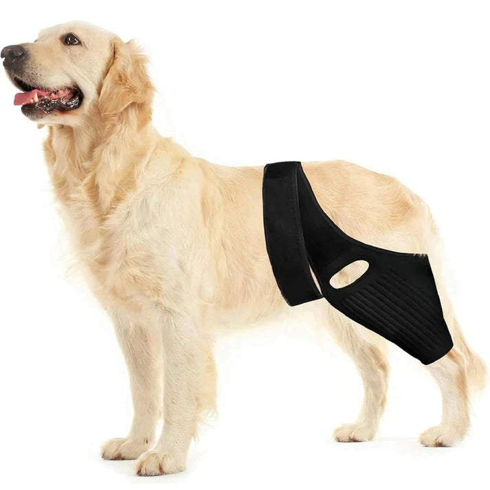 Genouillère et Attelle de Hanche Réglable pour Chien