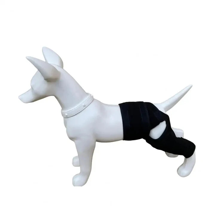 Genouillère et Attelle de Hanche Réglable pour Chien