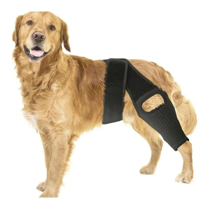 Genouillère et Attelle de Hanche Réglable pour Chien