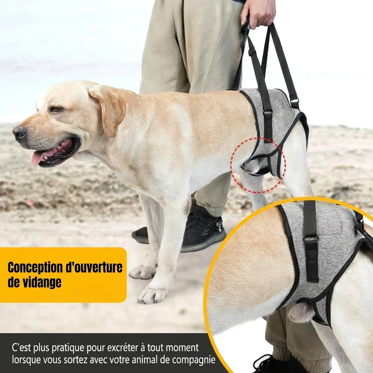 Harnais Soutien Arrière Chien