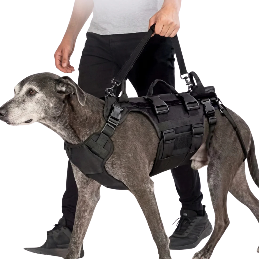 Harnais de Soutien Réglable Chien Âgé & Blessé Tailles M à XL