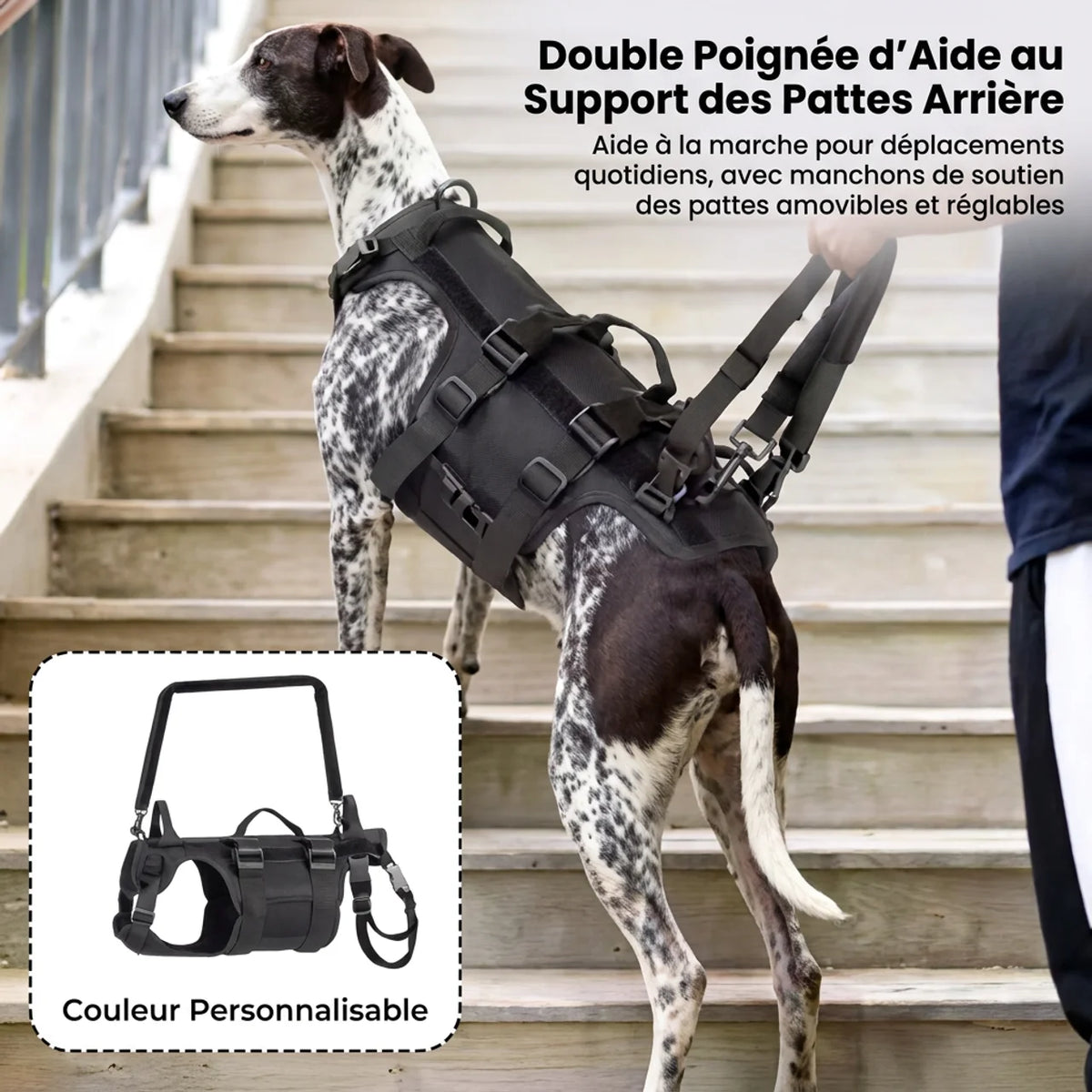 Harnais de Soutien Réglable Chien Âgé & Blessé Tailles M à XL