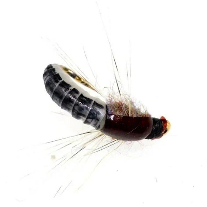 Kit Mouches Pêche Truite