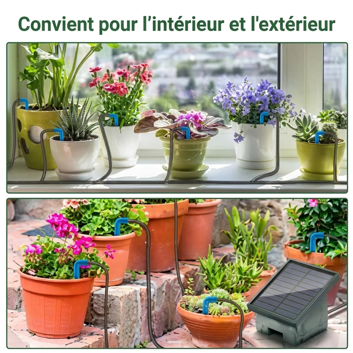 Kit d’arrosage automatique solaire programmable – 10 goutteurs et tuyau de 10 m