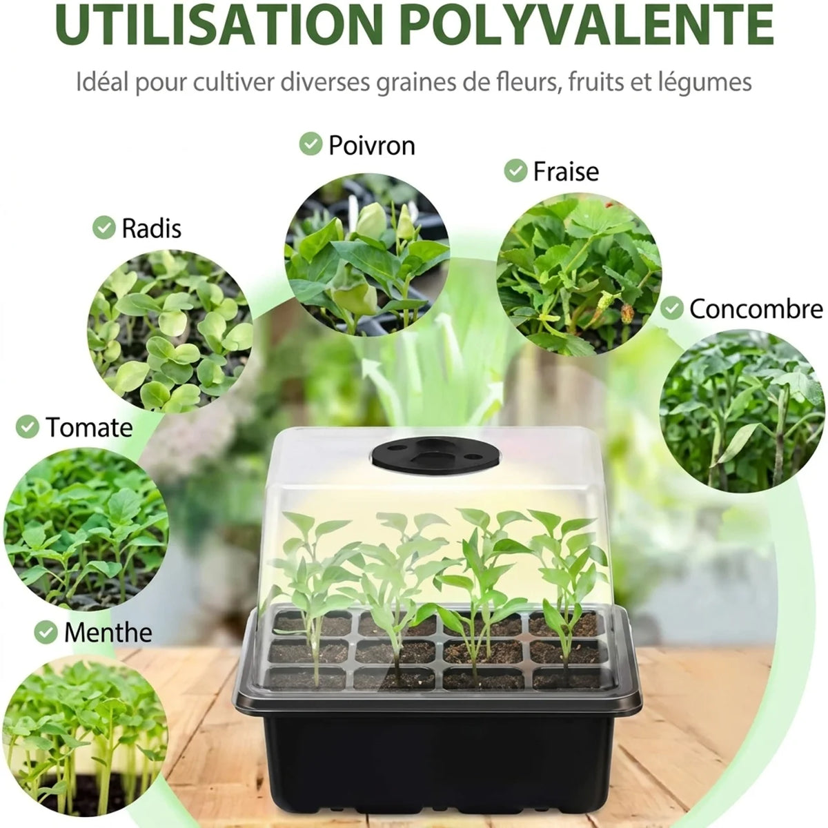 Mini-serre de semis avec lampes de croissance et dôme à aération réglable – Lot de 2