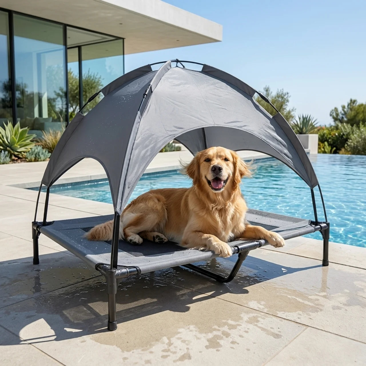 Lit Surélevé pour Chien et Chat avec Auvent Amovible Hamac pour Animaux