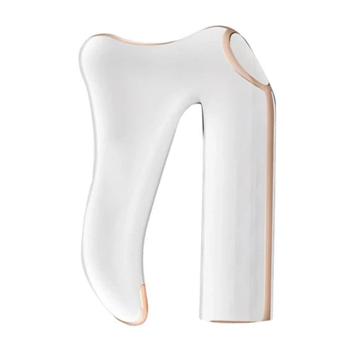 Masseur Électrique Visage Corps Anti-Âge