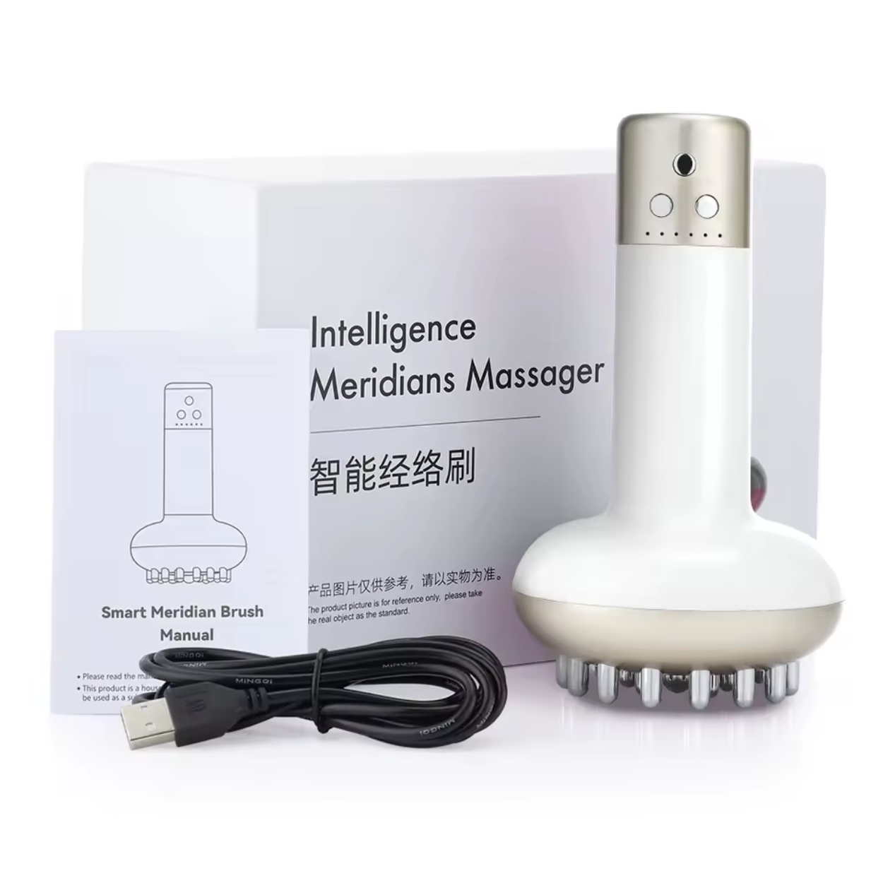 Masseur Méridien Intelligent 6 en 1