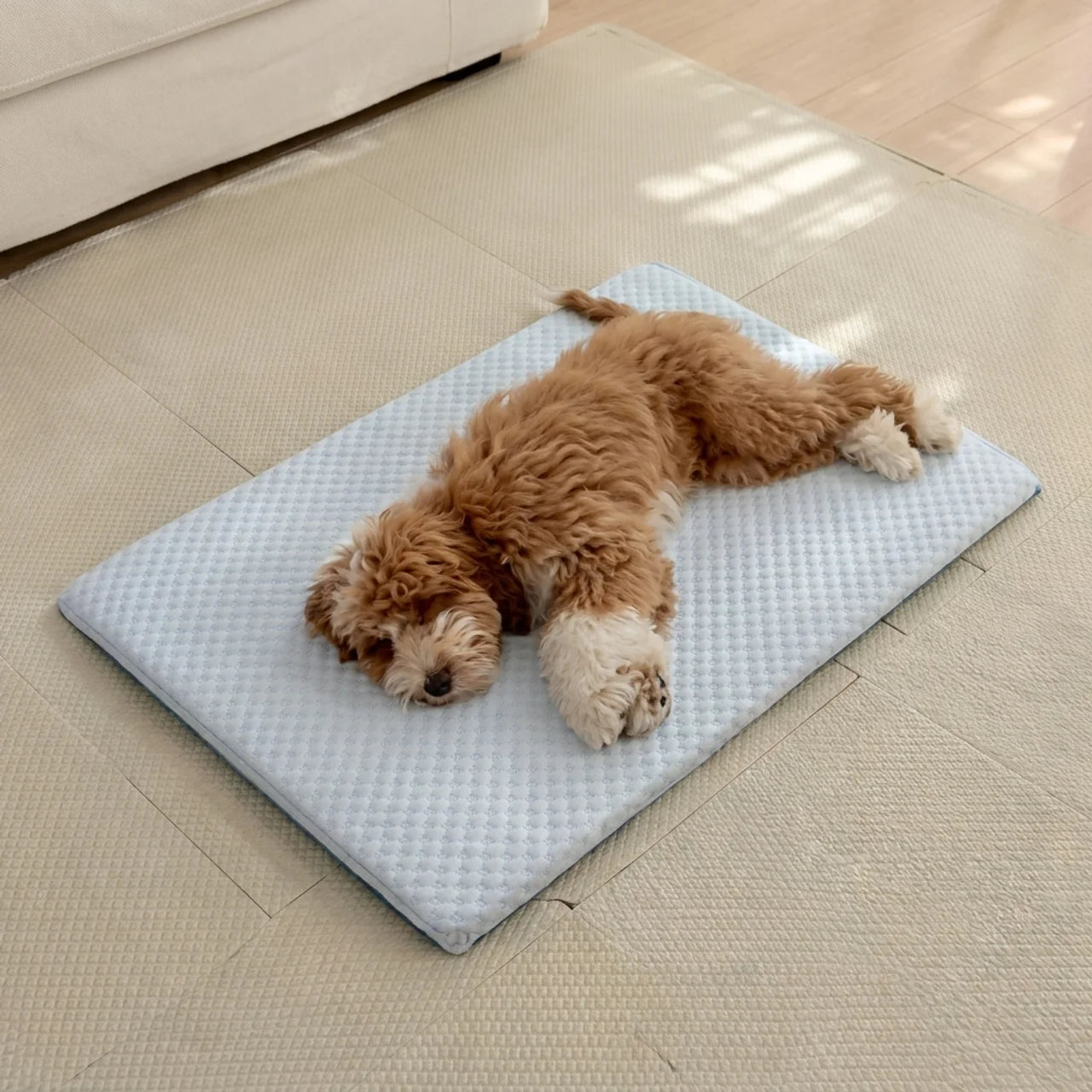 Matelas Rafraîchissant Premium pour Animaux