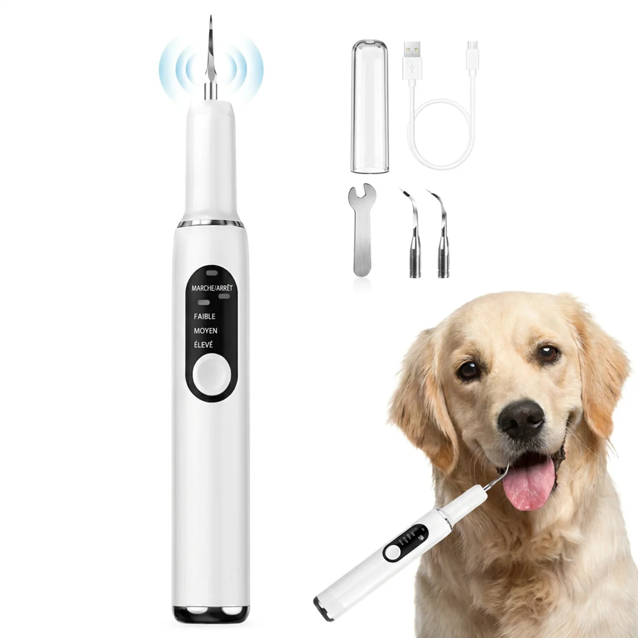 Nettoyeur Dentaire Électrique Pour Chien