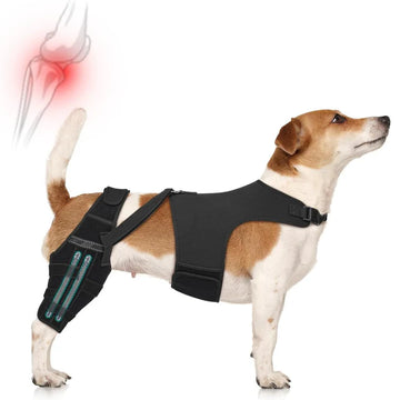 Orthèse de Soutien pour Pattes Arrière de Chien