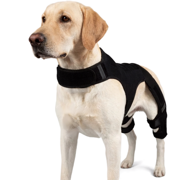 Orthèse de Soutien des Pattes Arrière pour Chien Harnais Réglable Anti-Chute