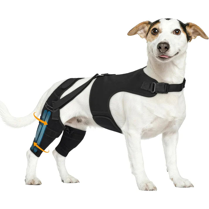 Orthèse de Soutien pour Pattes Arrière de Chien