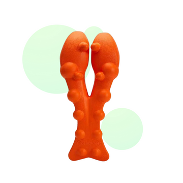 Outil de Massage et d’Étirement Cervical