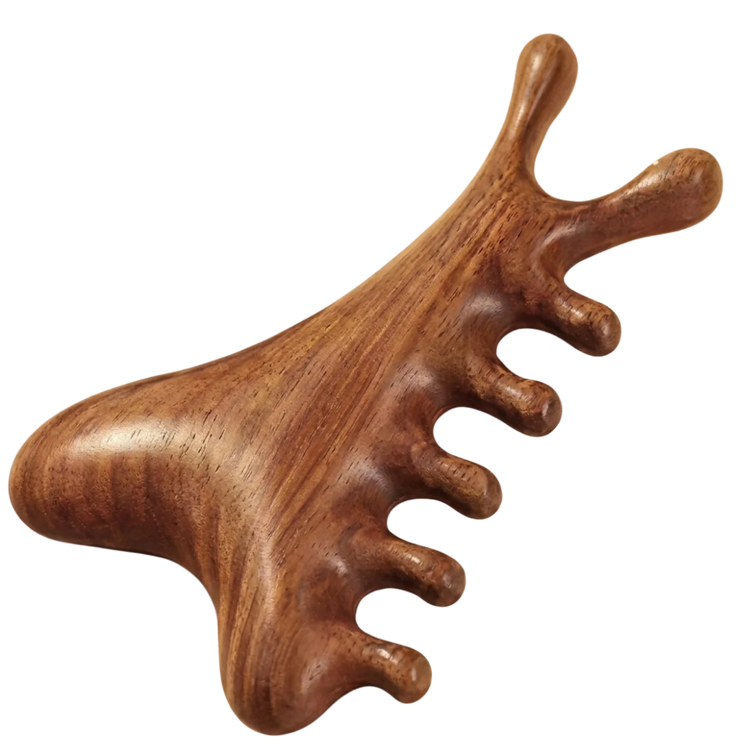 Peigne de Massage en Bois de Santal 4-en-1 – Visage Cuir Chevelu Cou et Corps