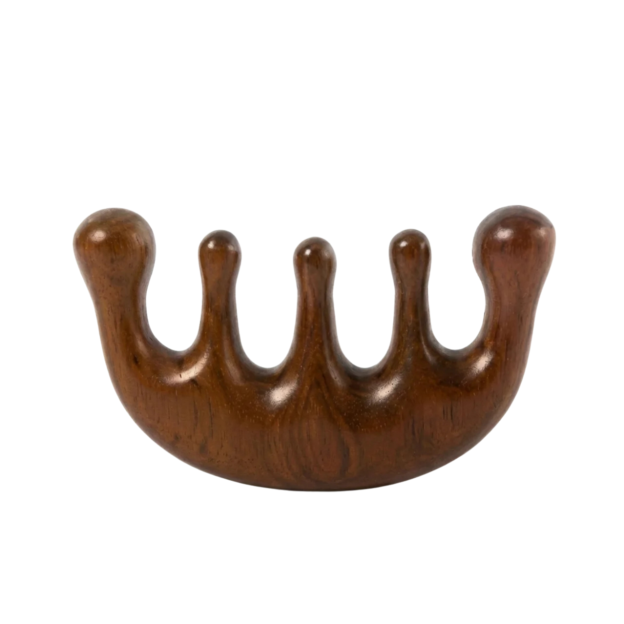 Peigne de Massage en Bois pour Cuir Chevelu Visage & Corps