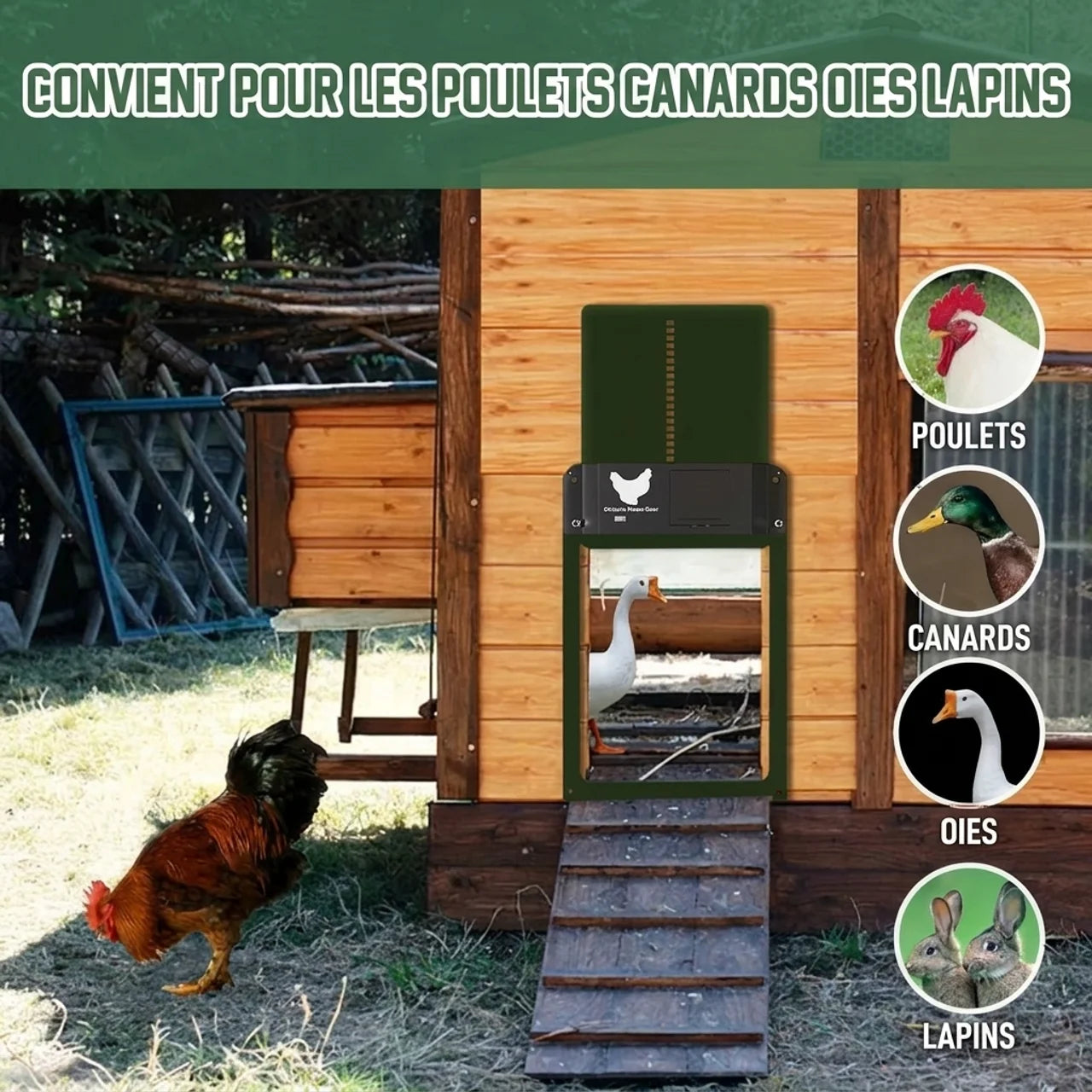 Porte Automatique Pour Poulailler à Capteur de Lumière