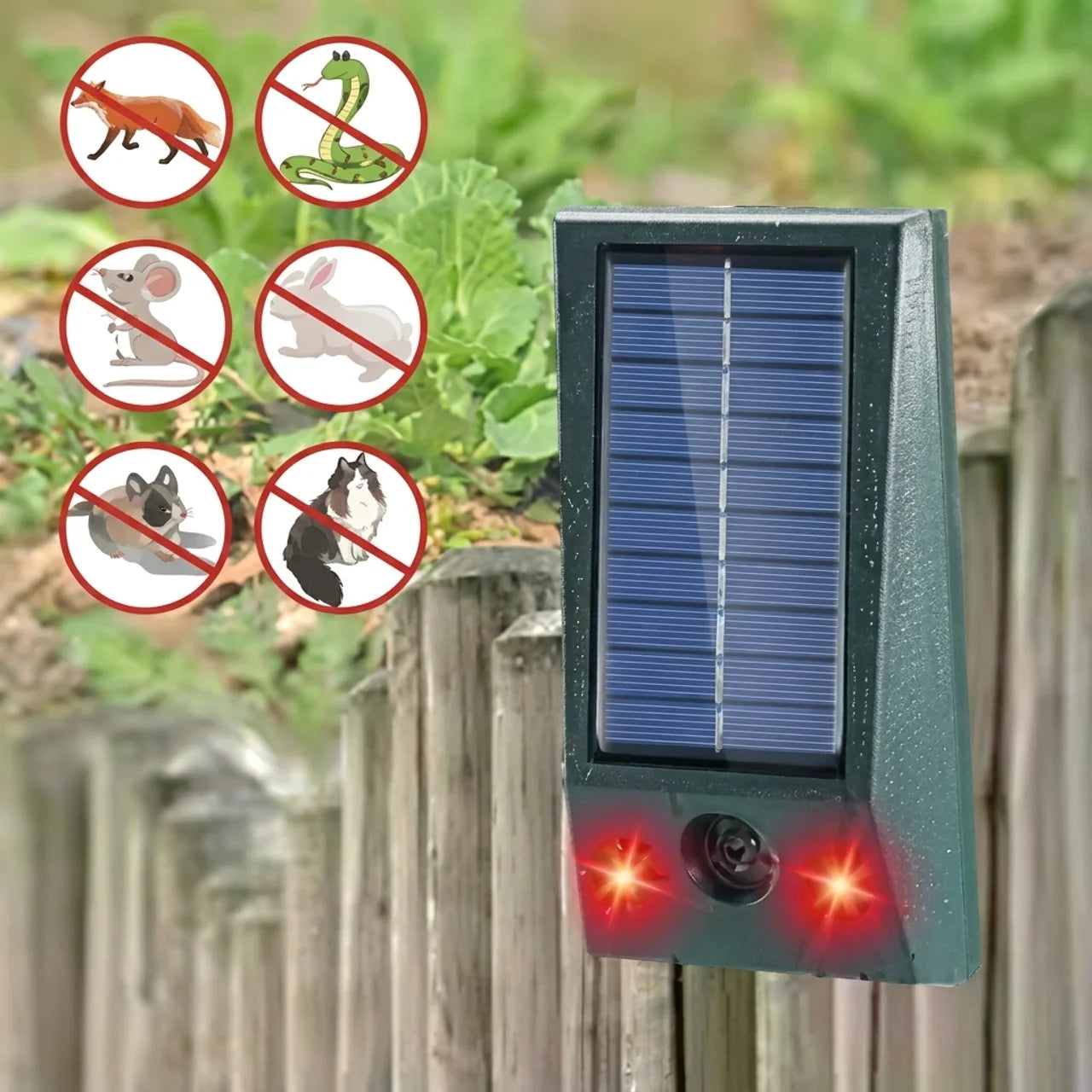 Répulsif Solaire Ultrasonique Anti Animaux
