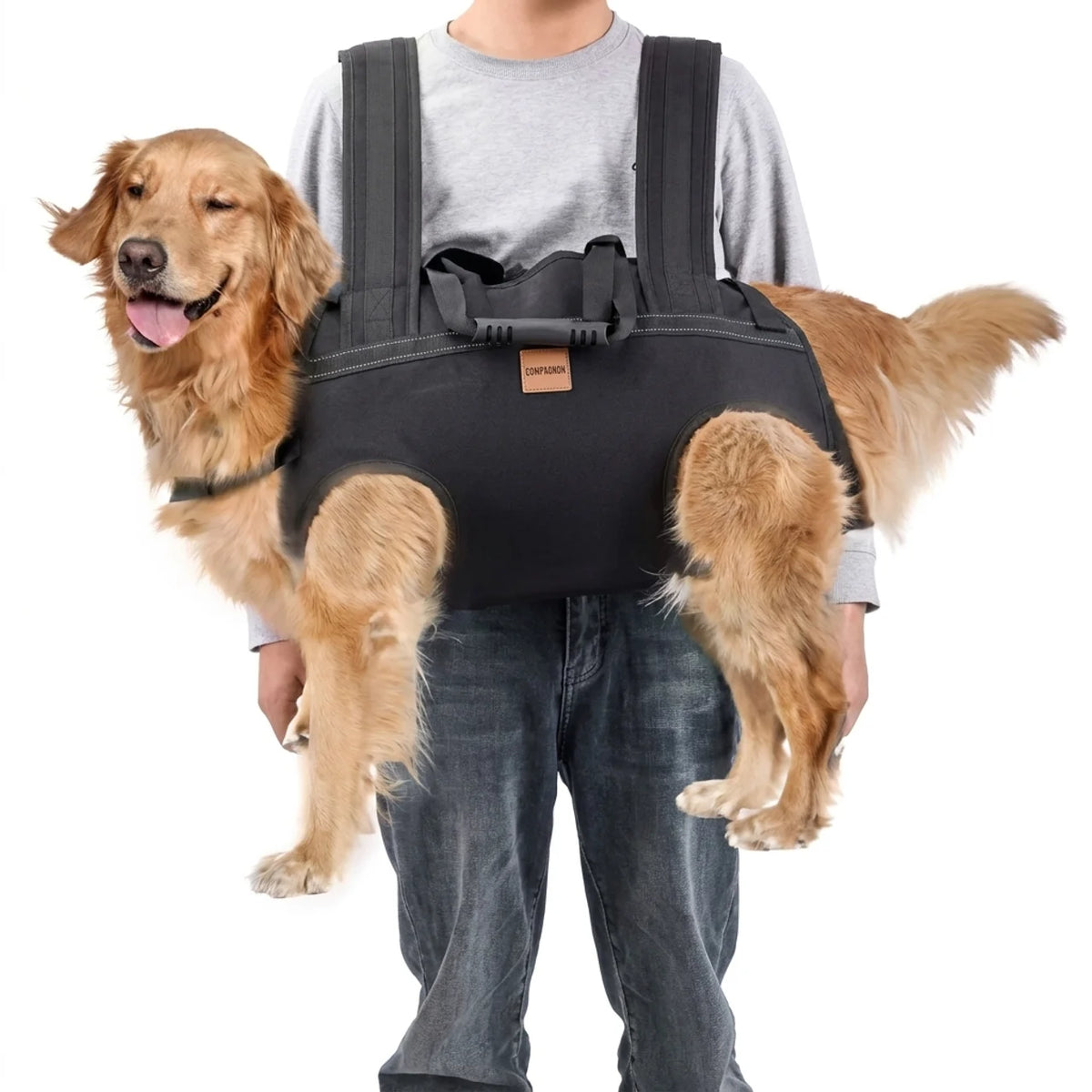 Sac à Dos & Harnais de Transport Multifonctionnel pour Chien Moyen à Grand