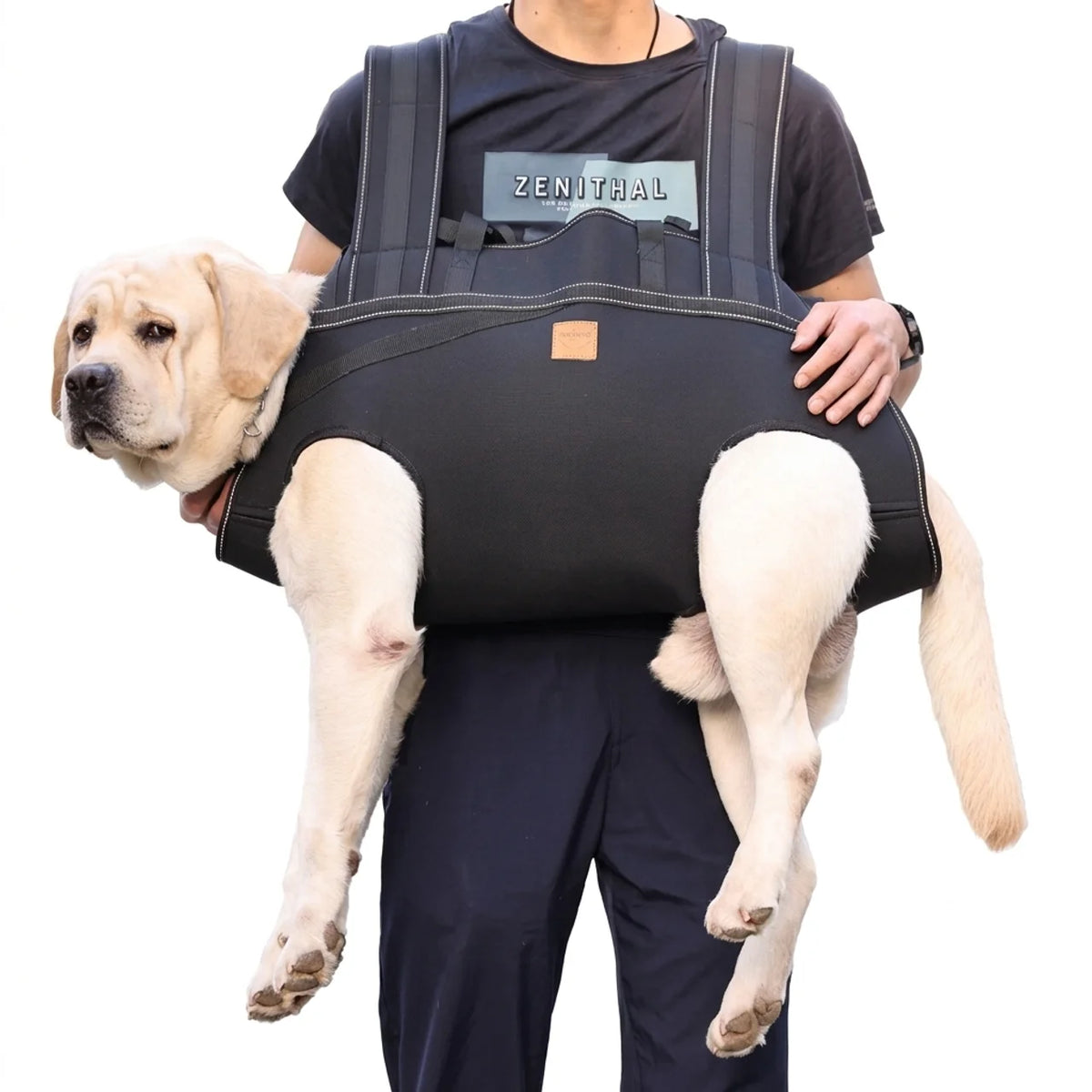 Sac à Dos & Harnais de Transport Multifonctionnel pour Chien Moyen à Grand
