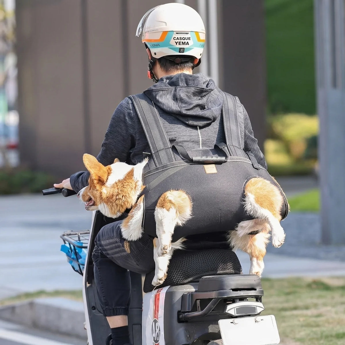 Sac à Dos & Harnais de Transport Multifonctionnel pour Chien Moyen à Grand