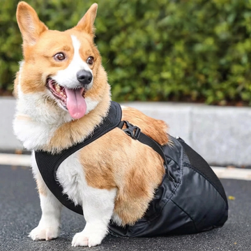 Sac de soutien réglable pour chien handicapé Protection des pattes arrière pour chien blessé