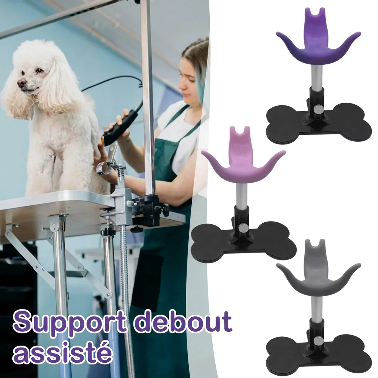 Support réglable de toilettage pour chien Maintien debout pour coupe bain et soins