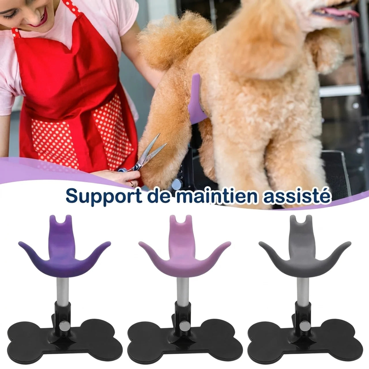 Support réglable de toilettage pour chien Maintien debout pour coupe bain et soins