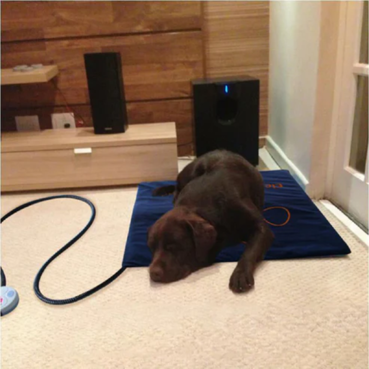 Tapis Chauffant Électrique pour Chiens et Chats