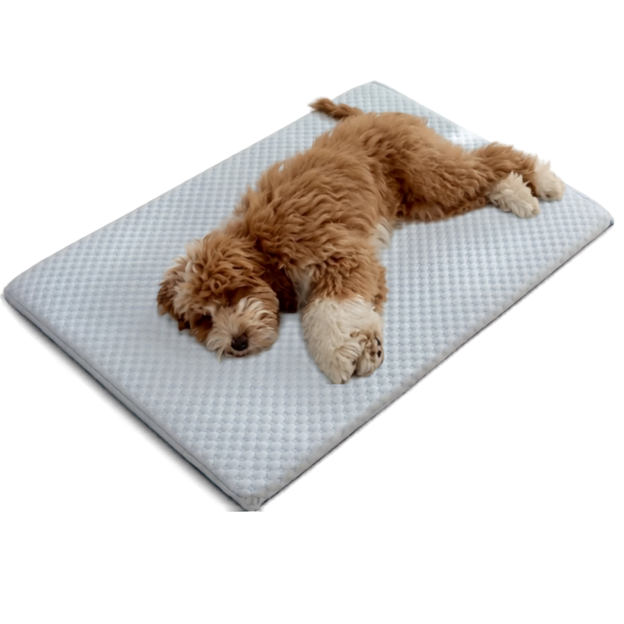 Matelas Rafraîchissant Premium pour Animaux