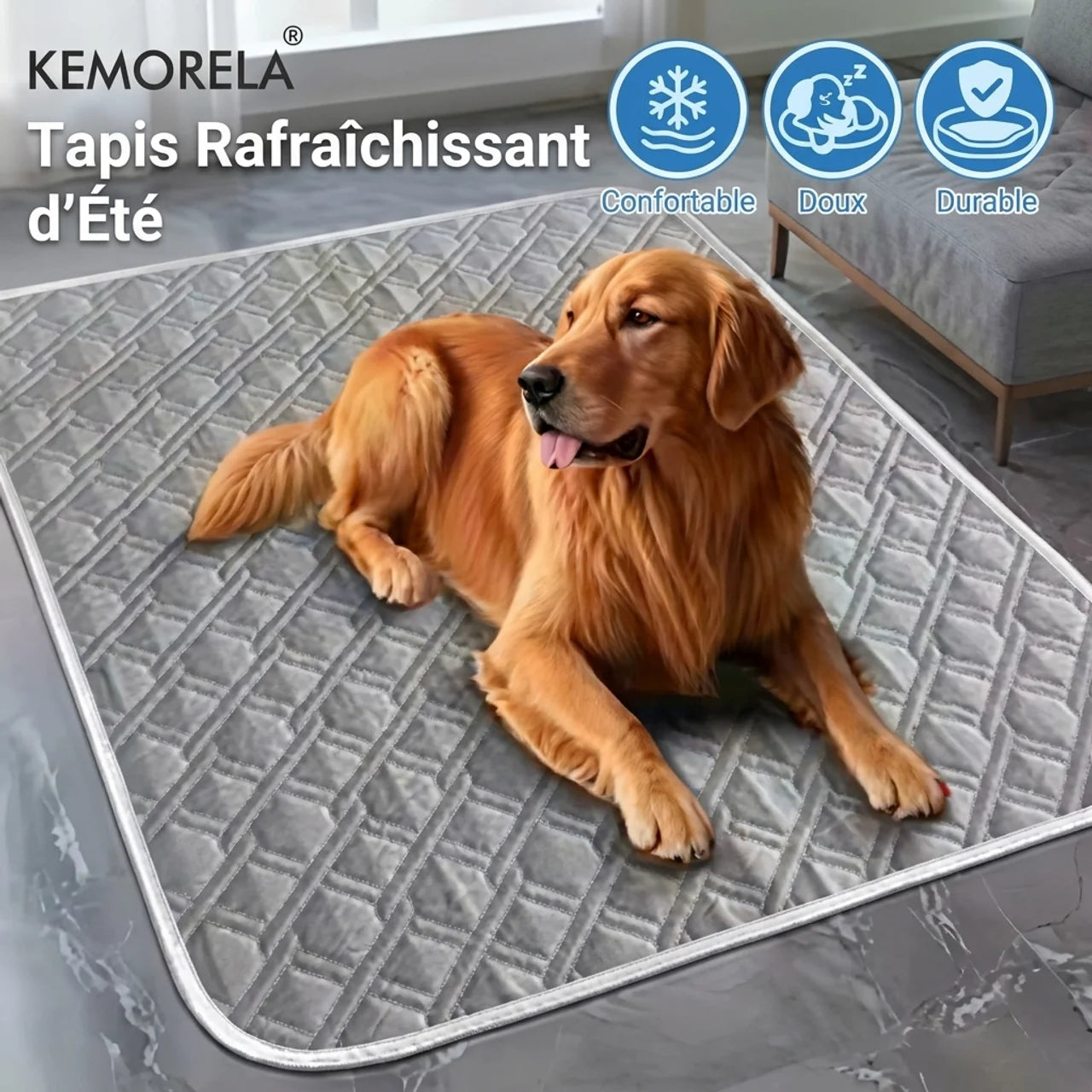 Tapis Rafraîchissant XXL pour Animaux