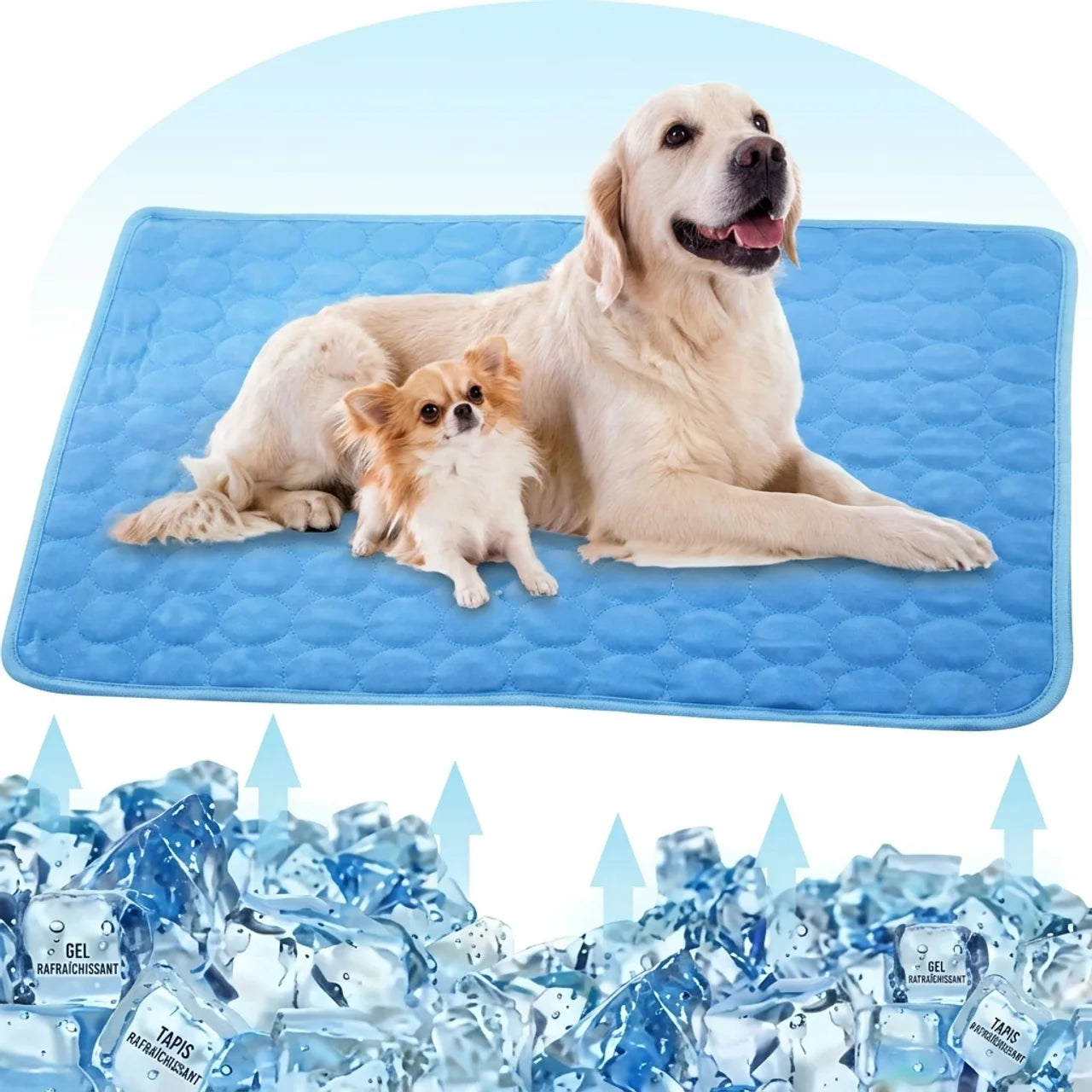 Tapis Rafraîchissant pour Chien & Chat