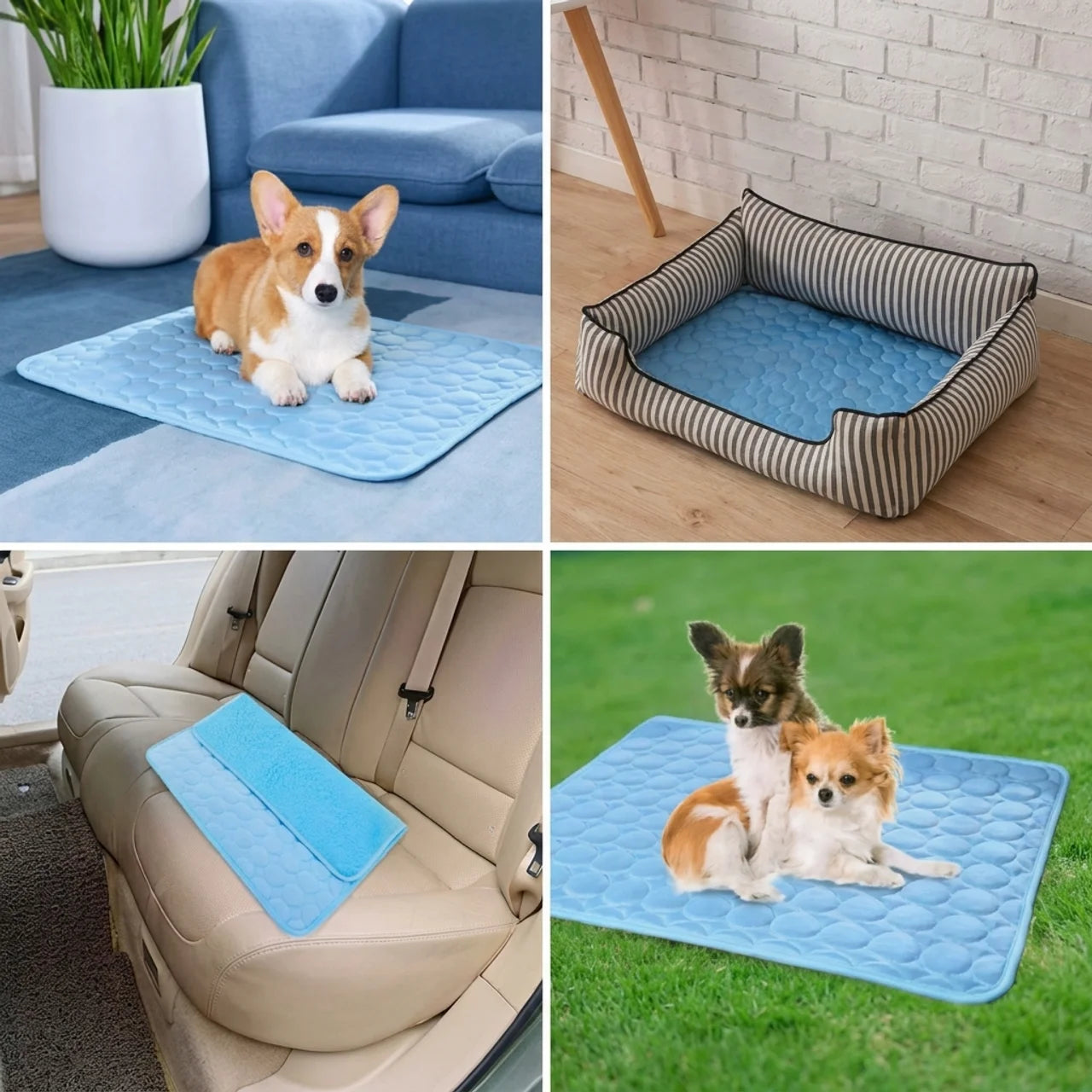 Tapis Rafraîchissant pour Chien & Chat